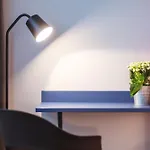 - The Niu, Form Feuerbach By Ihg