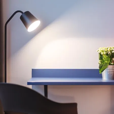 - The Niu, Form Feuerbach By Ihg