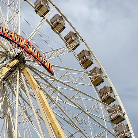 - The Niu, Form Feuerbach By Ihg