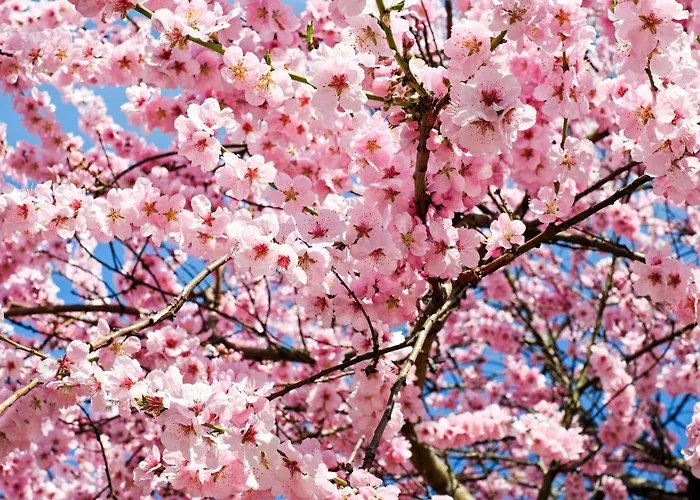 - The Niu, Form Feuerbach By Ihg Hotel